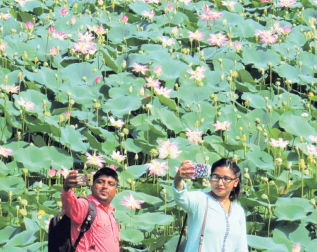 Chitwan’s Patihani emerging as tourist hub