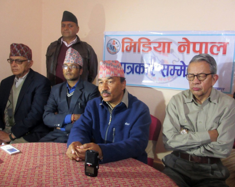 Party consent needed to forward amendment bill: RPP Chair Thapa