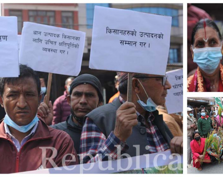 Farmers stage protest at Maitighar (With photos)