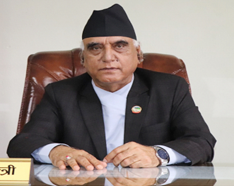 Province govt has successfully established itself: CM Pokharel