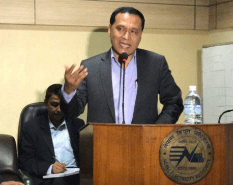 MD Ghising: NEA to work on increasing domestic consumption and exporting surplus electricity