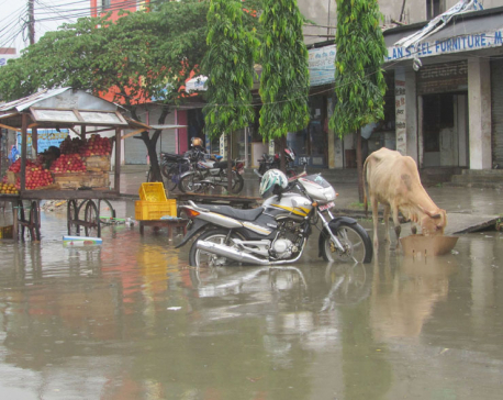 Incessant rainfall inundates Lahan
