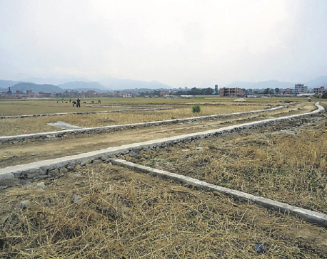 Land Management Ministry decides to open plotting, splitting of land