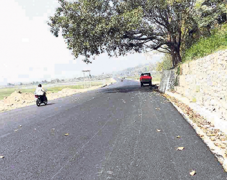 Katari-Gaighat section of Madan Bhandari Highway disrupted