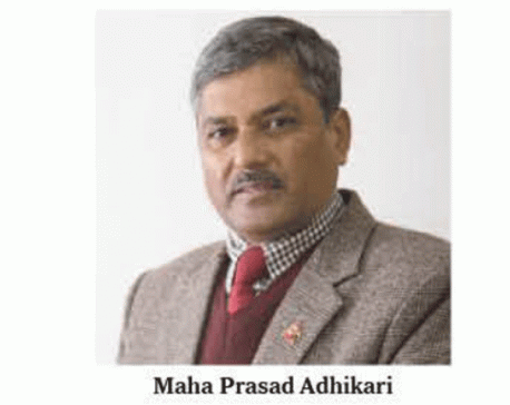 Adhikari is new NRB Governor