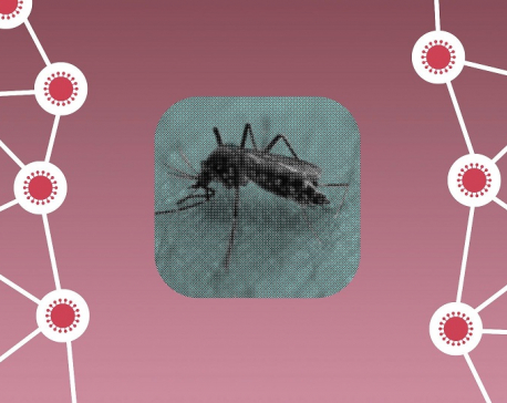 Can mosquitoes spread the coronavirus?