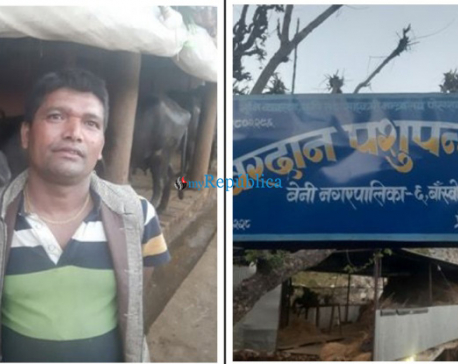 Myagdi dairy farmers hit hard by lockdown