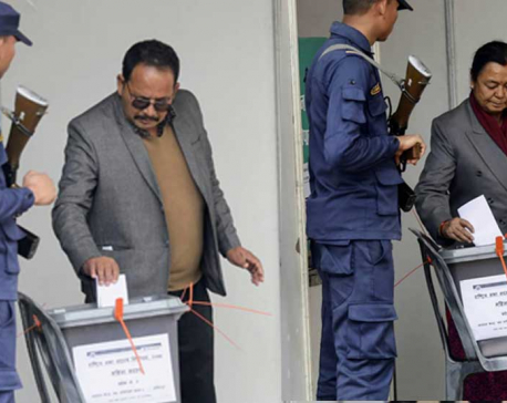 Upper House election starts (Photo feature)