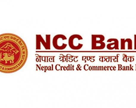 CIB raids NCCB, arrests staffers for alleged fraud scam