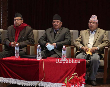 Dahal-Nepal faction meeting at parliament building (with photos)