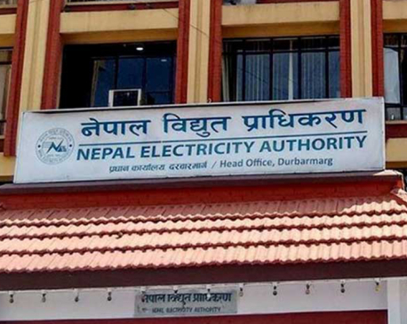 NEA struggles to manage electricity supply due to heavy fall in domestic production and insufficient import from India