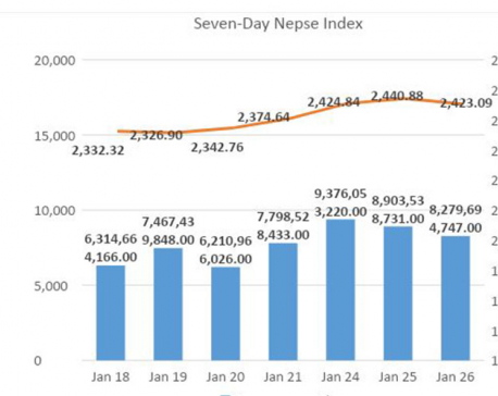 Nepse corrects 18 points after sustained January rally