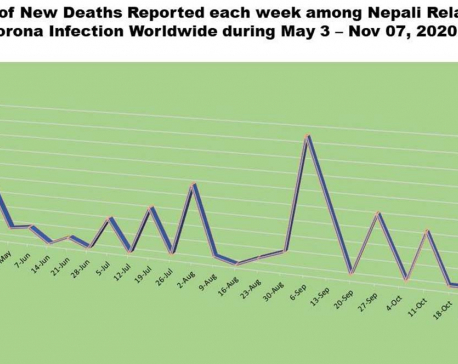 544 more Nepalis contract COVID-19 outside of Nepal; death toll hits 285