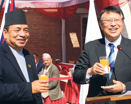 Japan's National Day celebrated in Kathmandu