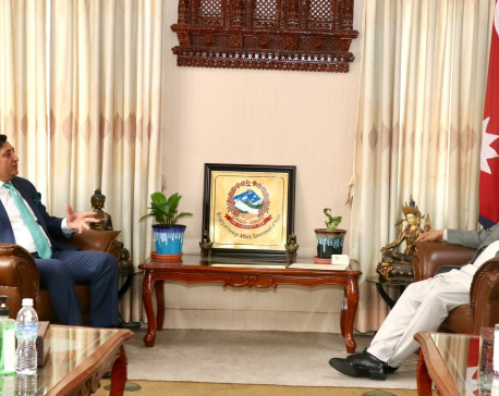 Pakistani envoy calls on Foreign Minister Shrestha