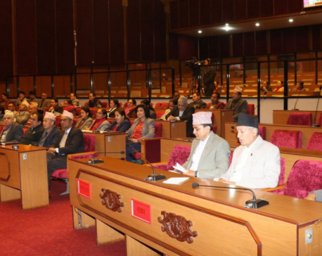 Upper House endorses proposal on Nepal Engineering Council (First Amendment) Bill