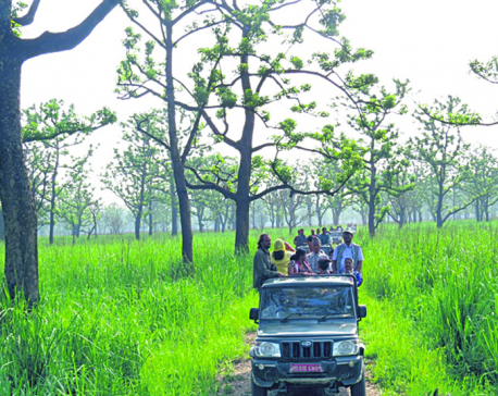 Park administration and security personnel directed to strengthen security system of national parks in Terai region