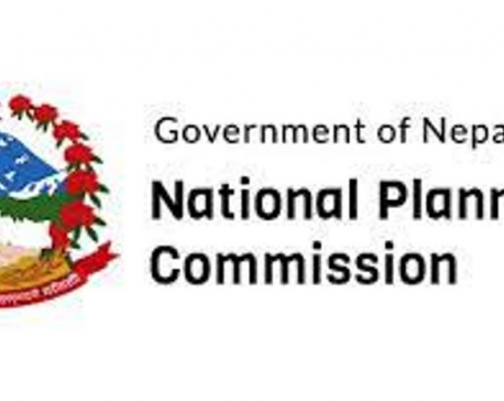 Govt appoints three more members of National Planning Commission
