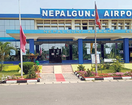 Nepalgunj Airport staff concerned after Nilgai strays into runway