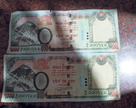 Fake Nepali currencies of 1000 and 500 denominations found in Waling