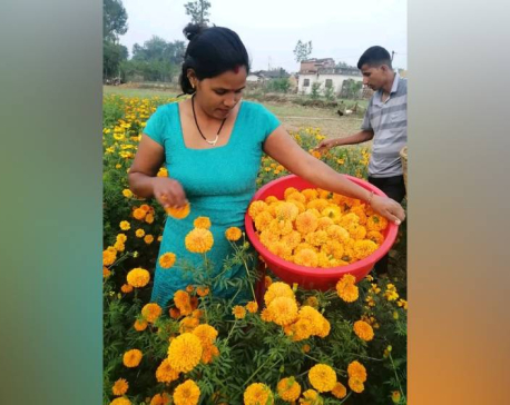 Bista inspires agricultural entrepreneurs in Nepal
