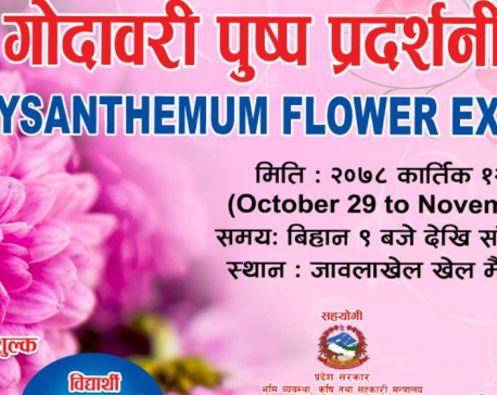 14th Chrysanthemum Flower Expo 2021 to be held from Oct 29 - Nov 1