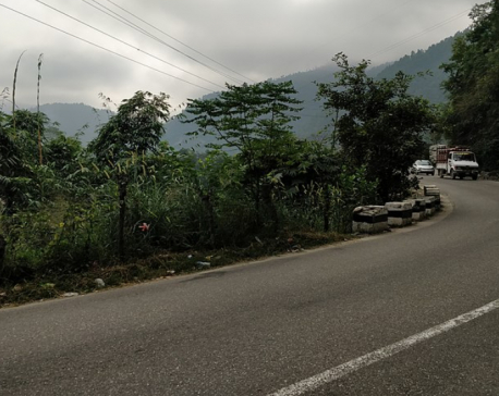 Permission granted to cut around 7,000 trees to widen Mugling-Pokhara road