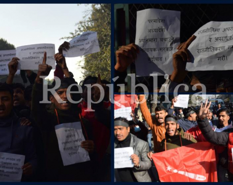 ANNFSU stages protest against govt’s decision to bring controversial ordinance (Photo Feature)