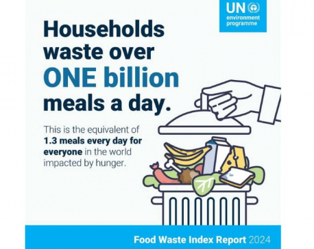 One billion meals go waste at household across world in a day: UNEP report