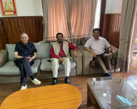 NC leaders Nidhi, Singh and Dr Koirala hold lunch meeting as they vie for party presidency