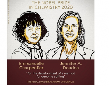 Nobel Prize for chemistry awarded to Charpentier and Doudna