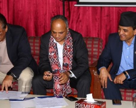 NRNA to help govt in promotion of Visit Nepal 2020