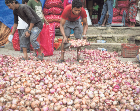 Kathmandu Valley faces shortage of potatoes and onions after traders halt supply