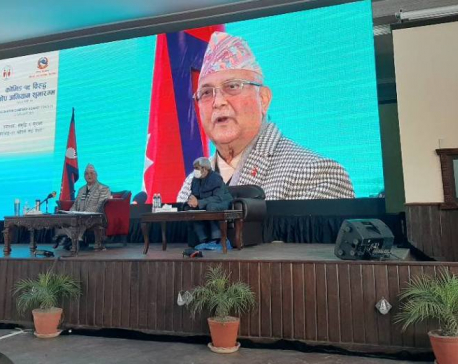 Govt made extraordinary achievements in the past one year despite COVID-19 pandemic: PM Oli