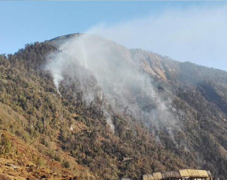 Forest fire in Pathivara Temple area still out of control