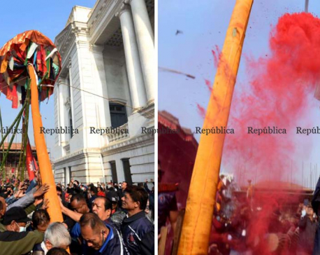 PHOTOS: Chir erected in Basantapur marking beginning of Holi festival