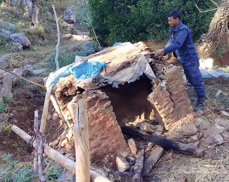 241 chhaugoths demolished in Dailekh