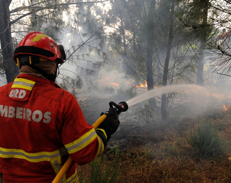 Forest fire kills 62 in Portugal; search on for more bodies