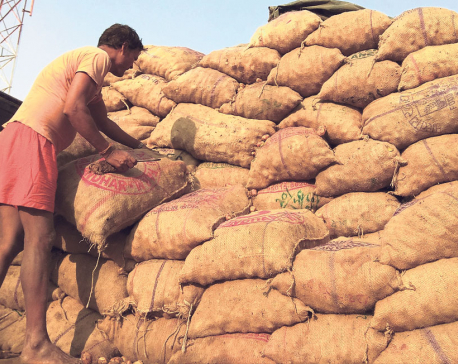 Birgunj traders facing huge loss on potatoes