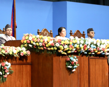 President Bhandari roots for coordinated efforts to boost domestic production