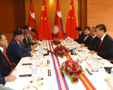 NCP leaders call on Chinese President Xi Jinping