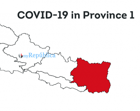 Province 1 reports five new deaths, COVID-19 death tally nears 100