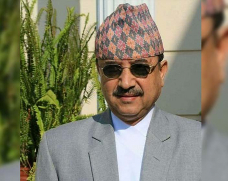 Vice-president Khadka appointed Acting President of NC