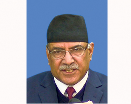 NCP Chair Dahal calls for further buttressing party