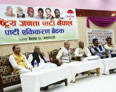 RJPN holding  'unification gathering' in capital