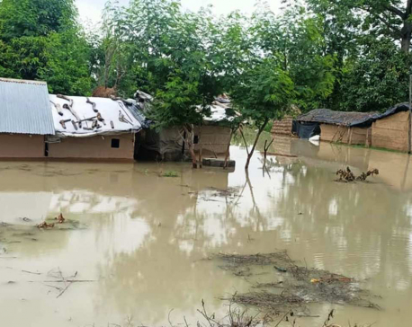 Flood survivors in Kanchanpur face hand-to-mouth problem