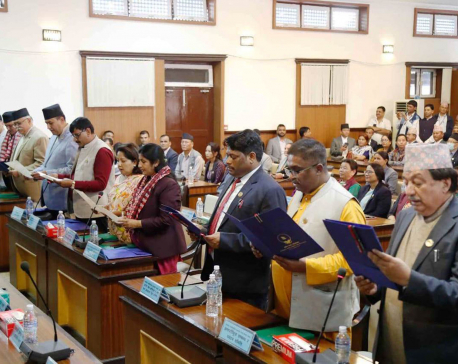 Parliamentary thematic committee chairs take oath of office and secrecy