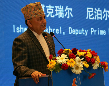 Nepal wants to learn from China: DPM Pokharel
