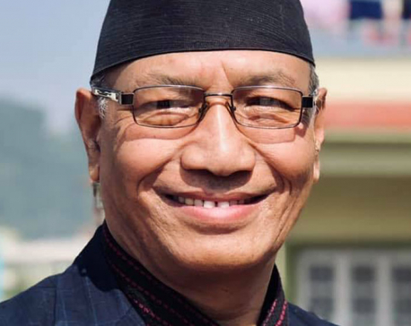 Electoral alliance a must to safeguard democratic values: Minister Shrestha
