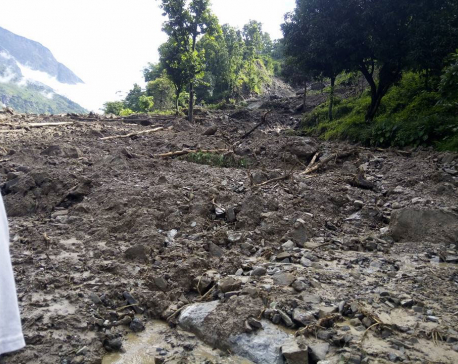 3 die, 1 missing as landslide buries 14 houses in Rasuwa